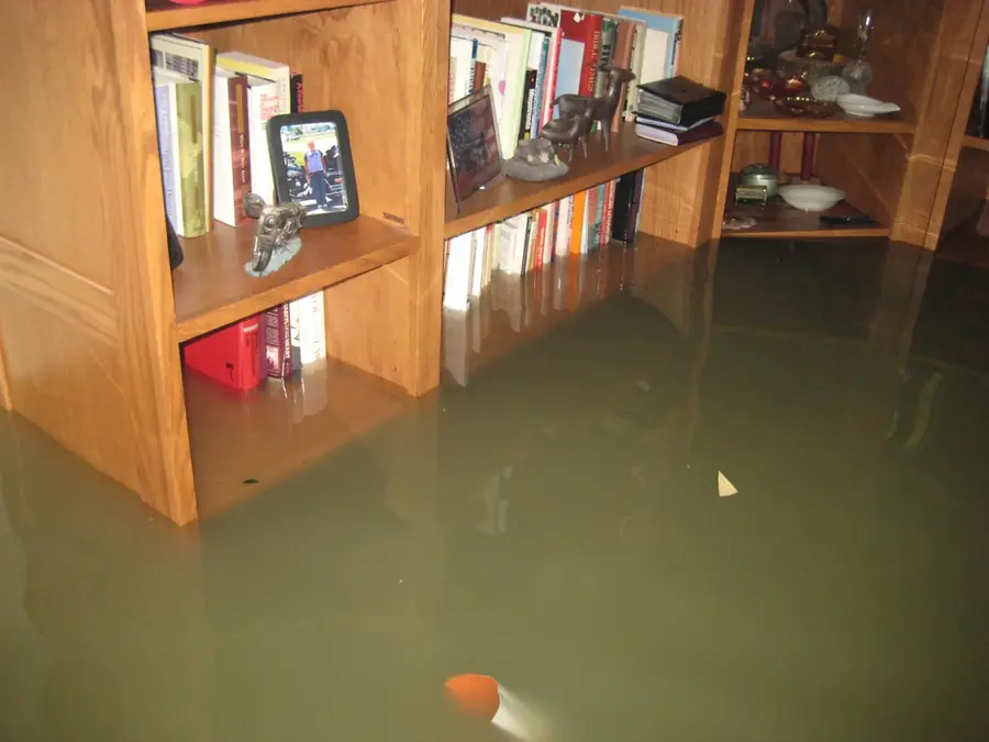 Burst Pipe Water Damage in South LA, Los Angeles