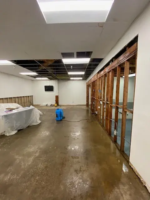 Ceiling Water Damage in South LA, Los Angeles