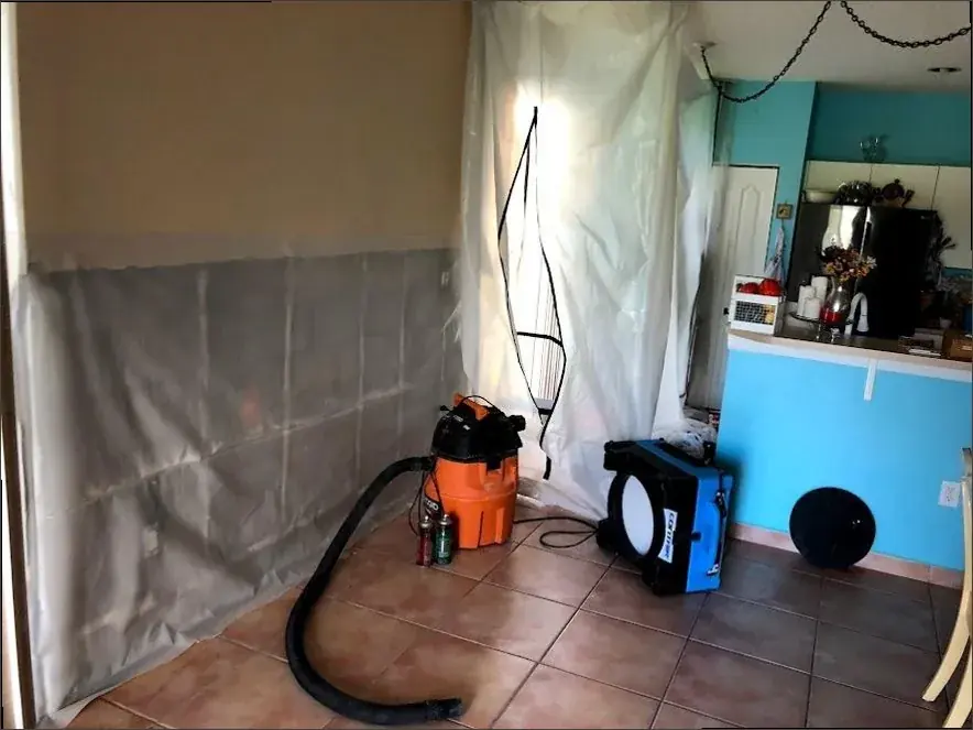 Sewage & Black-Water Cleanup in South LA, Los Angeles