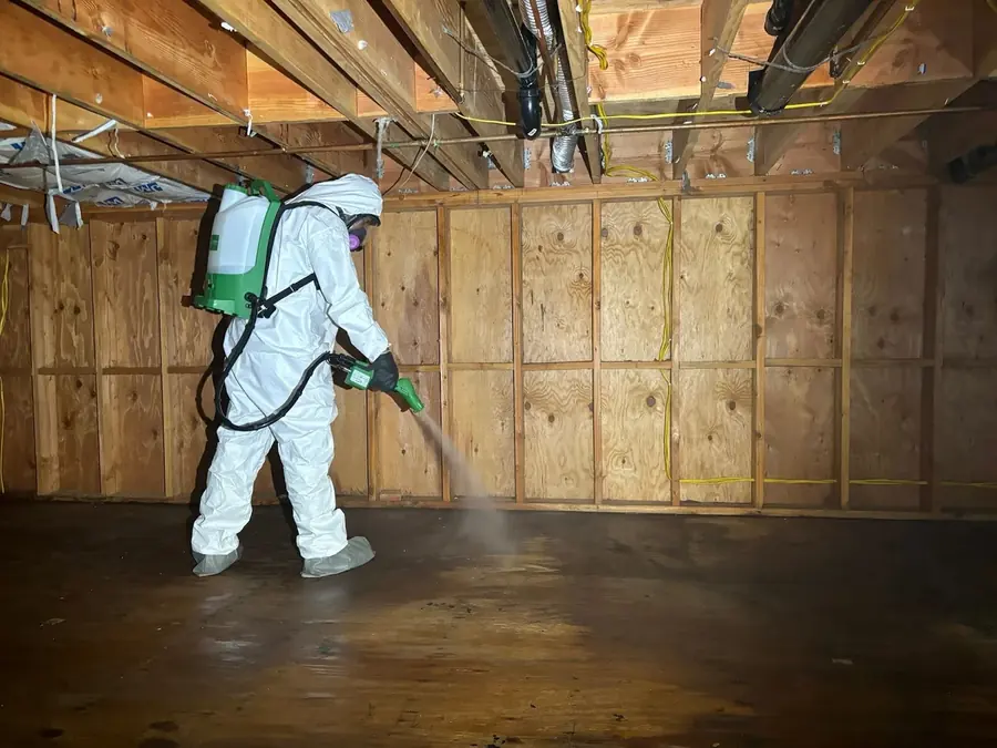 Storm & Rain Water Damage in South LA, Los Angeles